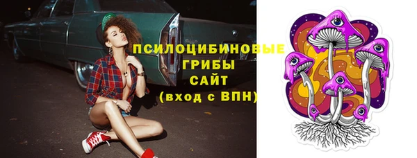 СК Белокуриха