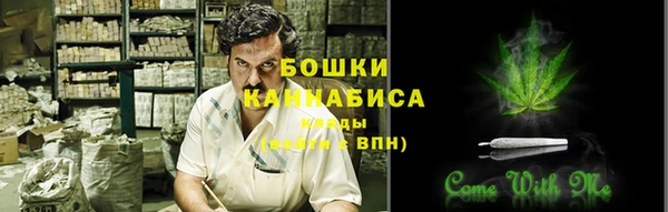 ПСИЛОЦИБИНОВЫЕ ГРИБЫ Белоозёрский